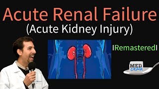 Acute Kidney Injury  Acute Renal Failure Explained Clearly  Remastered [upl. by Nialb763]