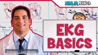 EKG Basics  How to Read amp Interpret EKGs Updated Lecture [upl. by Aura]