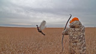 Pheasant Hunt with Traditional Bow  16 SLOWMO SHOTS amp THE GREATEST MISSES in Bowhunting ONE HIT [upl. by Aicetal]