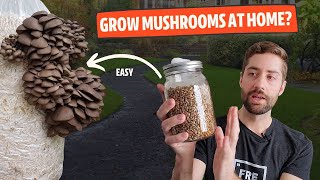 How To Get Started Growing Mushrooms At Home From EASY to HARD [upl. by Odlanier]