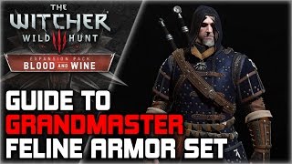 WITCHER 3 Grandmaster FELINE Armor Set GUIDE ► Diagrams Locations Crafting Stats Appearance [upl. by Hnad919]