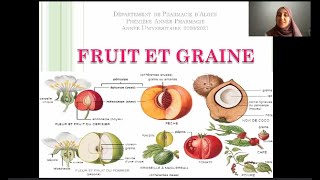 📍Fruit  Partie 1  BOTANIQUE E9raberk Botanique [upl. by Chastity]