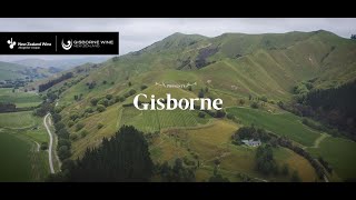 Gisborne Wine Region [upl. by Hasile]