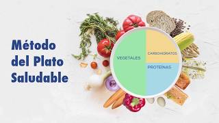 Método del Plato Saludable  Dieta saludable y equilibrada [upl. by Eytak]