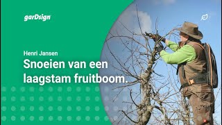 Laagstam fruitbomen snoeien appelboom [upl. by Wardlaw]