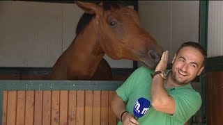 Reporter Cant Stop Laughing At Horse [upl. by Nosredna829]