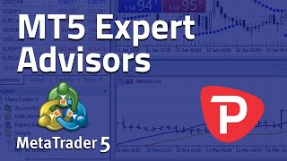 How to use Expert Advisor MetaTrader 5 [upl. by Anirtac333]