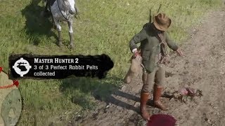 How To Get Perfect Rabbit Pelts  Red Dead Redemption 2 [upl. by Southard]