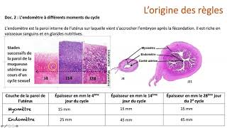 Lorigine des règles [upl. by Mulderig903]