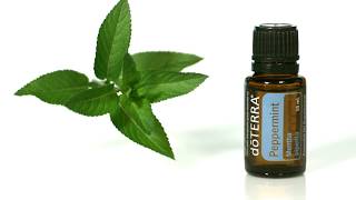 doTERRA® Peppermint Oil Uses and Benefits [upl. by Nolur]