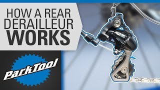 How a Rear Derailleur Works [upl. by Enalda]