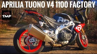 Aprilia Tuono V4 1100 Factory in depth review [upl. by Daniyal]