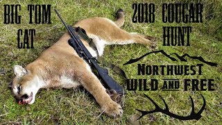 FoxPro Inferno Calls in Cougar  Tracking and Killing a Mountain Lion in the Northwest [upl. by Eecyaj]