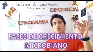 Gráfica y fases de crecimiento microbiano EN 4 MINUTOS [upl. by Strage]