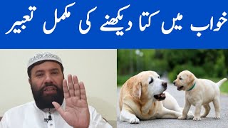 Khwab mein kutta dekhna  dog dream meaning  khwab mein kutta dekhne ki tabeerخواب میں کتا دیکھنا [upl. by Onitnelav31]