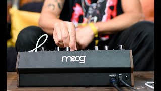 Moog DFAM  Percussion Synth Techniques with Baseck [upl. by Tyrus]