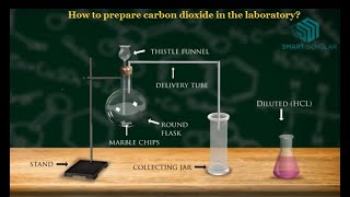 How to prepare carbon dioxide in the laboratory [upl. by Criswell]