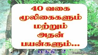 Herbs and their uses in tamil  40 herbal plants and their uses Part 2 [upl. by Averil]