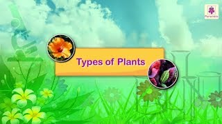 Types of Plants  Science For Kids  Periwinkle [upl. by Kery]