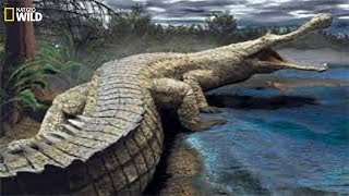 National Geographic I Super Giant Crocodile I Documentary [upl. by Ruvolo588]