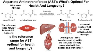 Aspartate Aminotransferase Whats Optimal And Can It Be Improved [upl. by Ahtram]