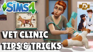 8 Vet Clinic Tips And Tricks For Success  The Sims 4 Cats amp Dogs Guide [upl. by Adnahsat]