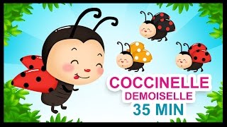 Coccinelle demoiselle  Comptines pour les petits  Titounis [upl. by Blalock]