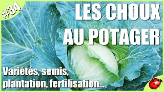 CHOUX amp FERTILISATION au POTAGER [upl. by Lessig]