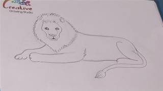 How To Learn To Draw A Lion [upl. by Nnayram]