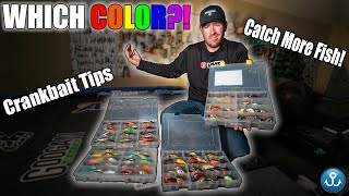 Fishing Hacks The BEST Crankbait Colors EXPLAINED [upl. by Lalita]