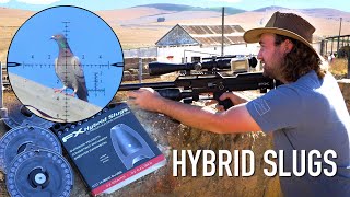 New HYBRID Slugs  Review amp First Hunt [upl. by Burkhardt]