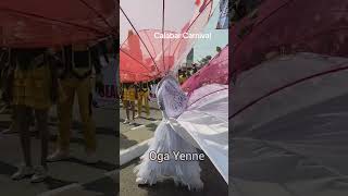 Awesome display at Calabar Carnival [upl. by Nygem]