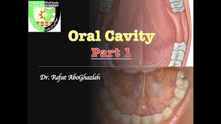 Oral Cavity  Part 1 [upl. by Zoila]