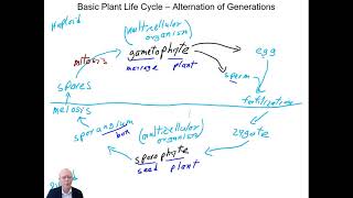 Introduction to the Course Plant Systematics [upl. by Palila]