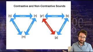 Introduction to Linguistics Phonology 1 [upl. by Aleuqahs]