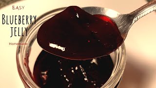 Easy Blueberry Jelly Homemade [upl. by Holofernes799]