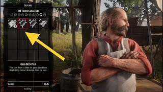 Where To Sell Animal Pelts  Red Dead Redemption 2 [upl. by Lebam]