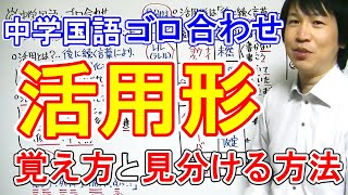 中学国語【ゴロ合わせ】「活用形・覚え方と見分けるポイント」 [upl. by Alvie]