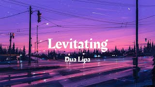 Dua Lipa  Levitating Lyrics [upl. by Brand329]