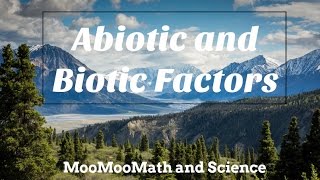 Difference between Abiotic and Biotic Factors [upl. by Analat339]