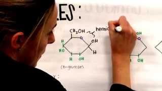 Benedicts Reagent and Reducing Sugars [upl. by Catherina112]