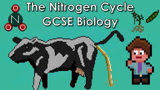 The Nitrogen Cycle  WJEC Biology  GCSE REVISION [upl. by Vivi357]