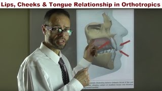 How Can Your Lips Cheeks and Tongue Straighten Your Teeth By Dr Mike Mew [upl. by Tibbetts846]