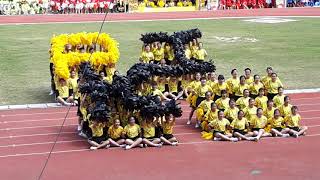 STTSS 2019 Sport Day Yellow Cheering Team [upl. by Brad]