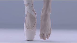 Ballet Anatomy Feet [upl. by Landon542]