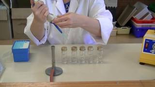 How to create serial dilutions [upl. by Yliram]