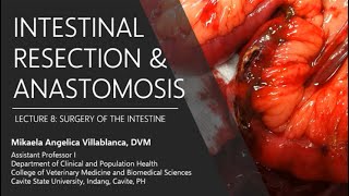 Lecture 83 Intestinal Resection and Anastomosis [upl. by Zoi]