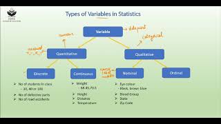 Types of Variables in Statistics [upl. by Eibba]