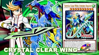 【YGOPRO】Crystal Clear Wing Synchro Dragon Deck 2021 Yugioh [upl. by Nnylarac]