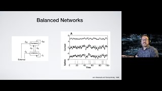 Kresimir Josic Plasticity and balance in neuronal networks [upl. by Mellar]